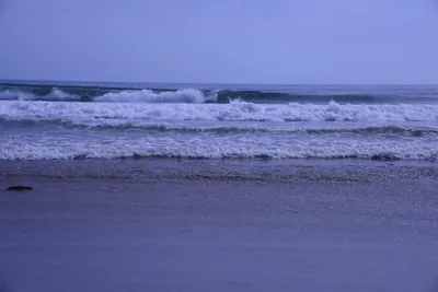 DSC_2235 (Large).JPG